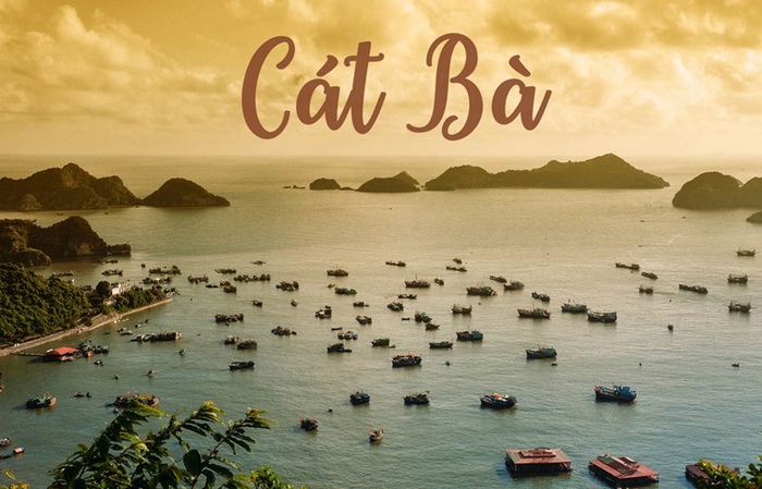 Du lịch Cát Bà đi công ty nào giá tốt? Gợi ý 8 công ty uy tín nhất